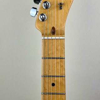 Fender Select Telecaster HH Blackwood 2013