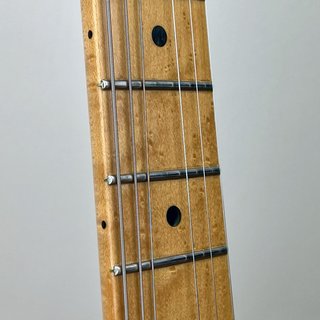 Fender Select Telecaster HH Blackwood 2013