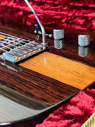 Fender Select Telecaster HH Blackwood 2013