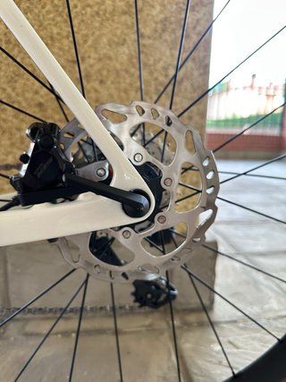 Trek Madone SL6