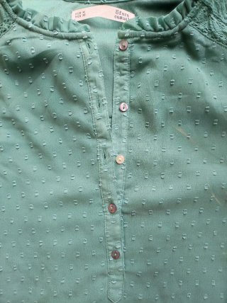 Blusa Sfera plumeti verde