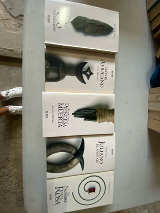 Lote 5 libros colección de El país (1-5)