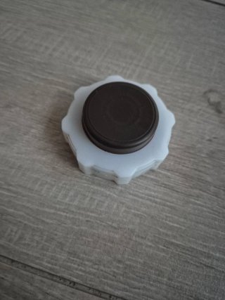 Tapón vaso expansión Renault 19