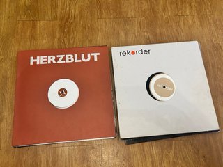 Lote 11 Vinilos Techno/Electro/Minimal