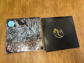 Lote 11 Vinilos Techno/Electro/Minimal
