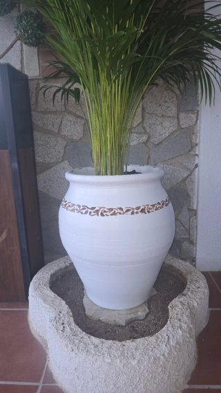 Tinaja de cerámica con planta areca o Kentia 1,60