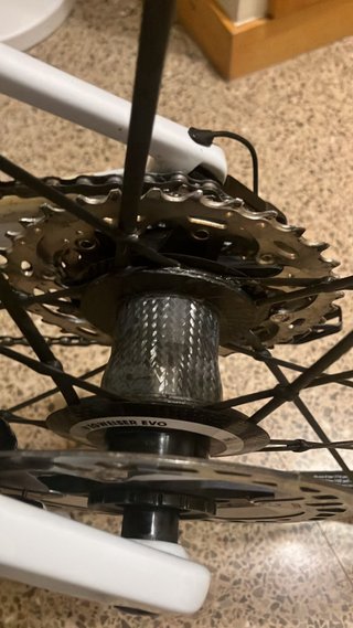 Ruedas Lightweight Pfadfinder EVO