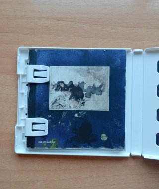 Spirit Camera: The Cursed Memoir 3DS