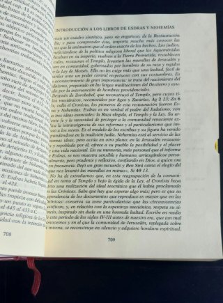 Biblia de Jerusalén EN LETRA GRANDE