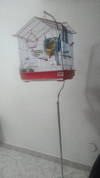 Jaula para pájaros con soporte