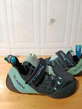 Scarpa instinct