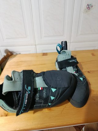 Scarpa instinct
