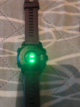 Garmin Forerunner 245