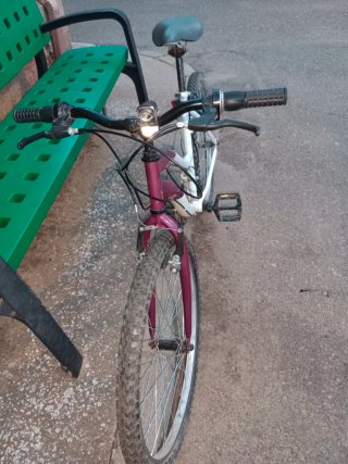 Bicicleta de Montaña