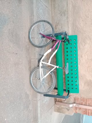 Bicicleta de Montaña
