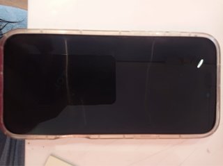 iPhone 17 Pro Max 256GB Gris con Funda Floral