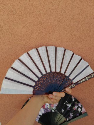 2 ventagli vintage floreali