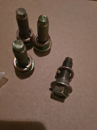 Tornillos de cinturón