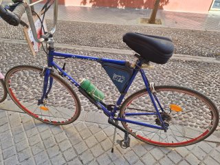 Bicicleta de montaña azul Peliser