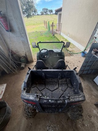 buggy seminuevo