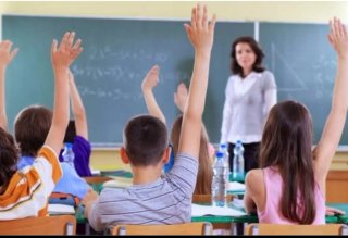 Clases de apoyo primaria