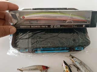 Señuelos de pesca variados