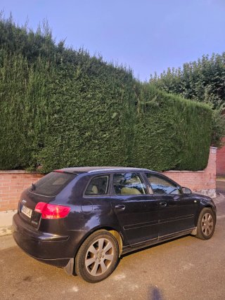 Audi A3 2006