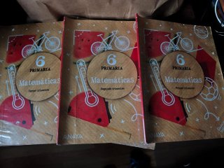 Libros de texto 6° primaria