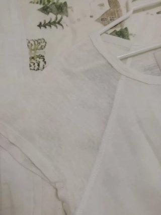 Zara Collection Camiseta