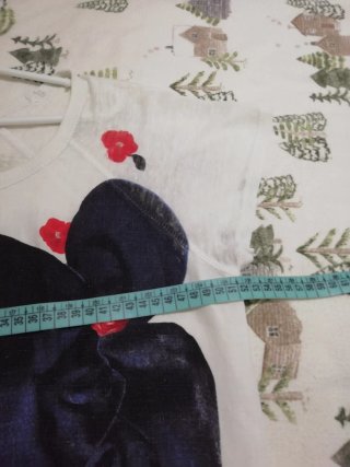 Zara Collection Camiseta