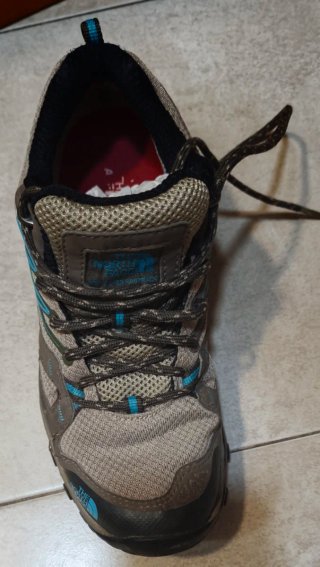 Zapatillas The North Face Gore-Tex Marrón/Azul