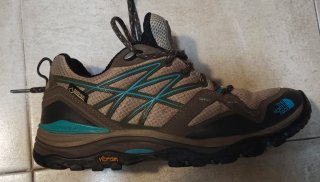 Zapatillas The North Face Gore-Tex Marrón/Azul