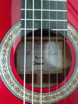 Guitarra Flamenca autoamplificada