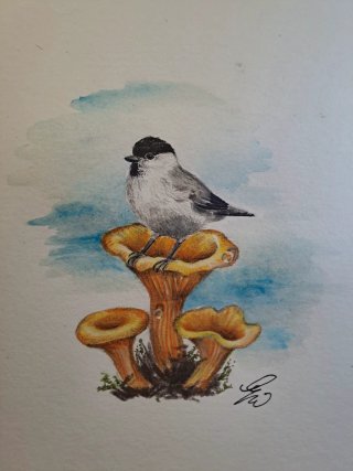 Disegno acquerello uccellino su fungo tema autunno