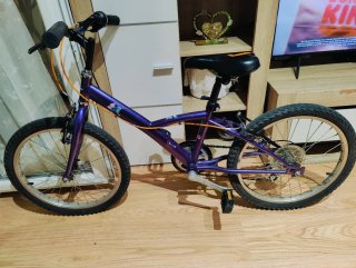 Bicicleta infantil morada