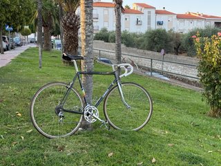 Bicicleta Orbea Sierra Nevada Clásica