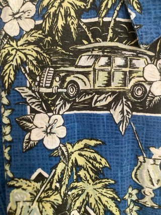 Camisa Hawaiana High Sierra Estampada