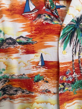 Camisa Hawaiana BoYvy Multicolor