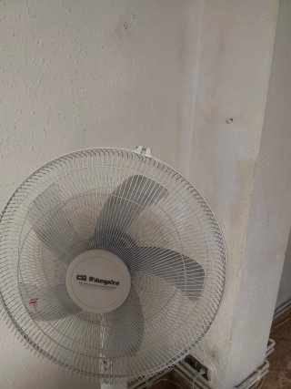 Ventilador Orbegozo Blanco