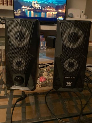 Altavoces Woxter Big Boss 80 FX Negros
