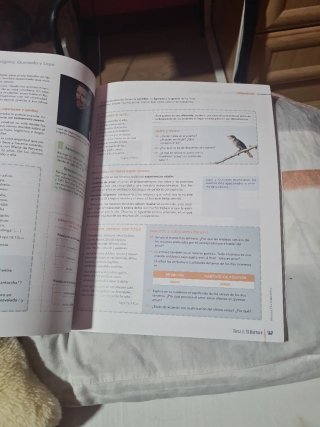 Lengua castellana y literatura