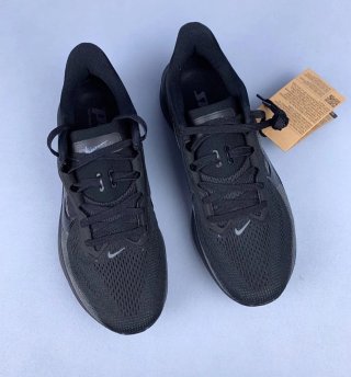 Nike Air Zoom Pegasus