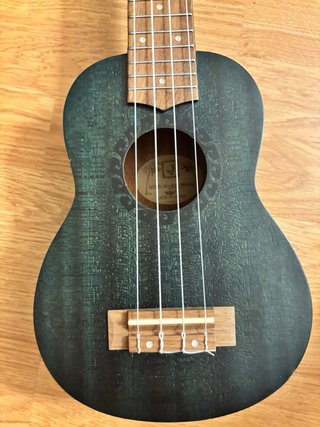 Ukelele verde con funda