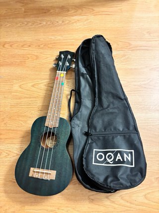 Ukelele verde con funda