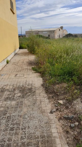 limpiamos desbrozador Campos parcelas 624102310