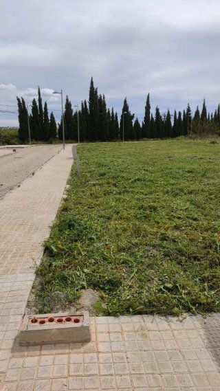 limpiamos desbrozador Campos parcelas 624102310