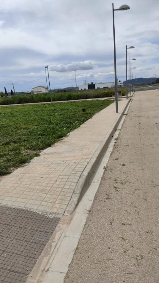 limpiamos desbrozador Campos parcelas 624102310