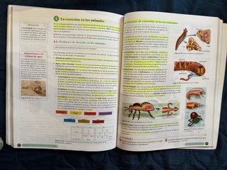 Biología, Geología y CC. Ambientales 1º Bachill...