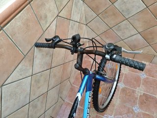 Bicicleta de Montaña