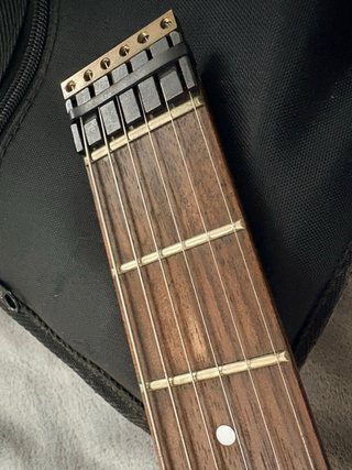 Guitarra Spirit by Steinberger GU-Deluxe